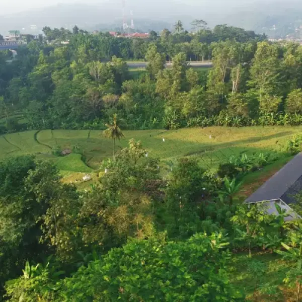bandung
