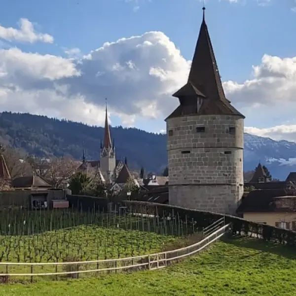 Zug