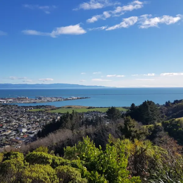 Nelson City