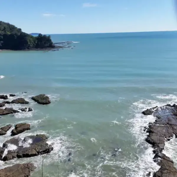 Bay of Plenty