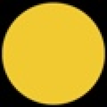 IPNY