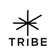 Tribe Communication Srl