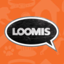 The LOOMIS Agency