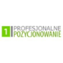 Profesjonalne Pozycjonowanie