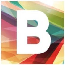 BLAZE MARKETING