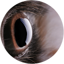 An-vision Inc