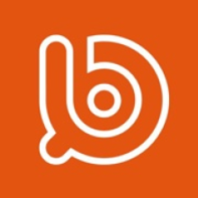 Bream Team Ltd