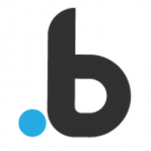 Point.b Digital Marketing Partner