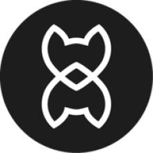 wisebrownfox