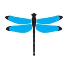 Dragonfly Digital Marketing