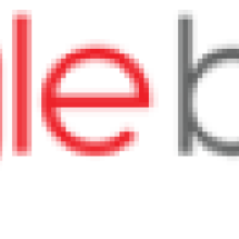 Togglebytes One Technologies LLP