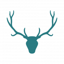 Web Antler