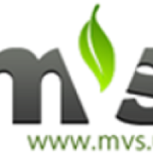 MVS Consulting Inc