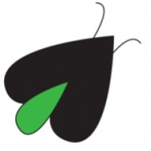 Digital Firefly Marketing