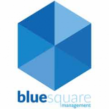 Blue Square Management