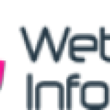 Web and Pro Infomedia
