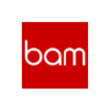 BAM Strategy