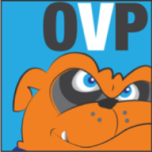 ONLINE VISIBILITY PROS