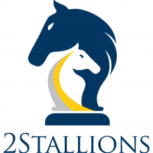 2Stallions Digital Marketing Agency