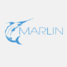 Marlin Web Design Services