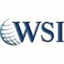 WSI - MaxNet Solutions Inc.