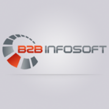 B2B INFOSOFT