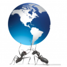 Trendz Web Solution