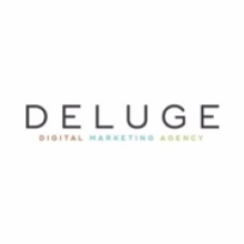 Deluge Interactive