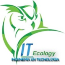 IT Ecology