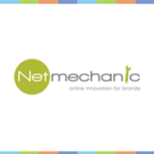 NetMechanic