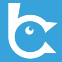 Brandshout Web Design Peterborough