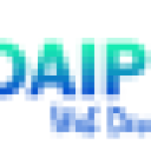 Udaipur Web Designer