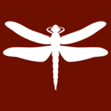 CMO4Hire