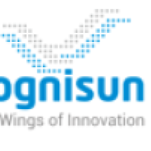 Cognisun Infotech Pvt. Ltd.