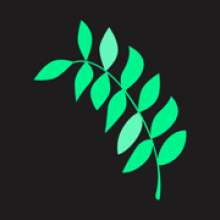 Branchleaf Digital