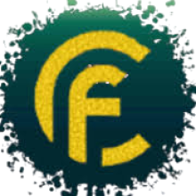 First Guide LLC