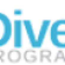 Diverse Programmers, LLC