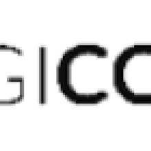 Digicorp Information Systems Pvt. Ltd.