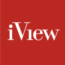 iView Labs Pvt Ltd. - Providing Odoo WIX Webflow Oracle Apex and AI Engineers