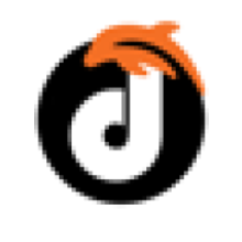 Dolphin Web Solution
