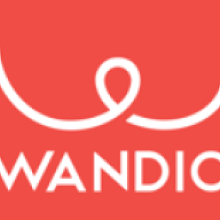 Wandio