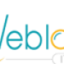 Weblooks IT Services