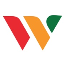 Wiselysoft