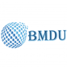 BM Digital Utilization LLP