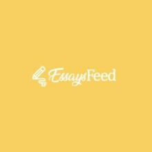 Essays Feed