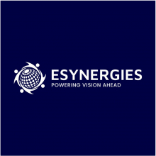 Esynergies services
