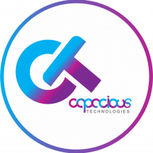 Capacious Technologies | Website Development and Digital Marketing Company in Dehradun