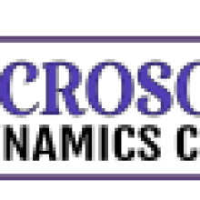 Microsoft Dynamics CRM Support