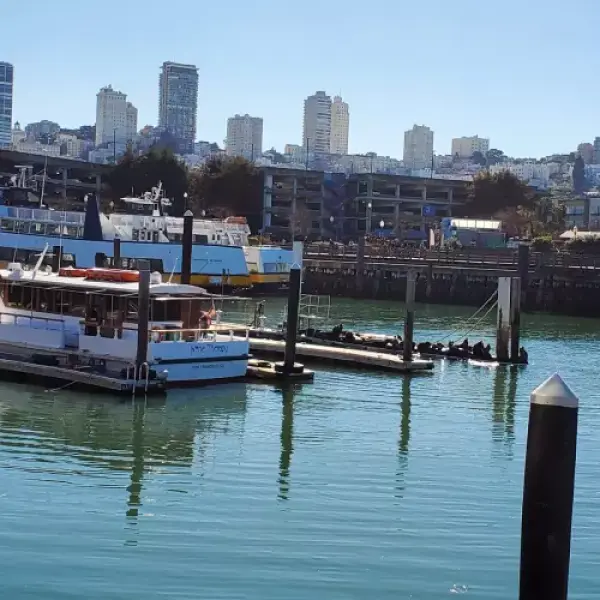 San Francisco