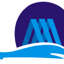 Magna Opus Software Services Pvt Ltd